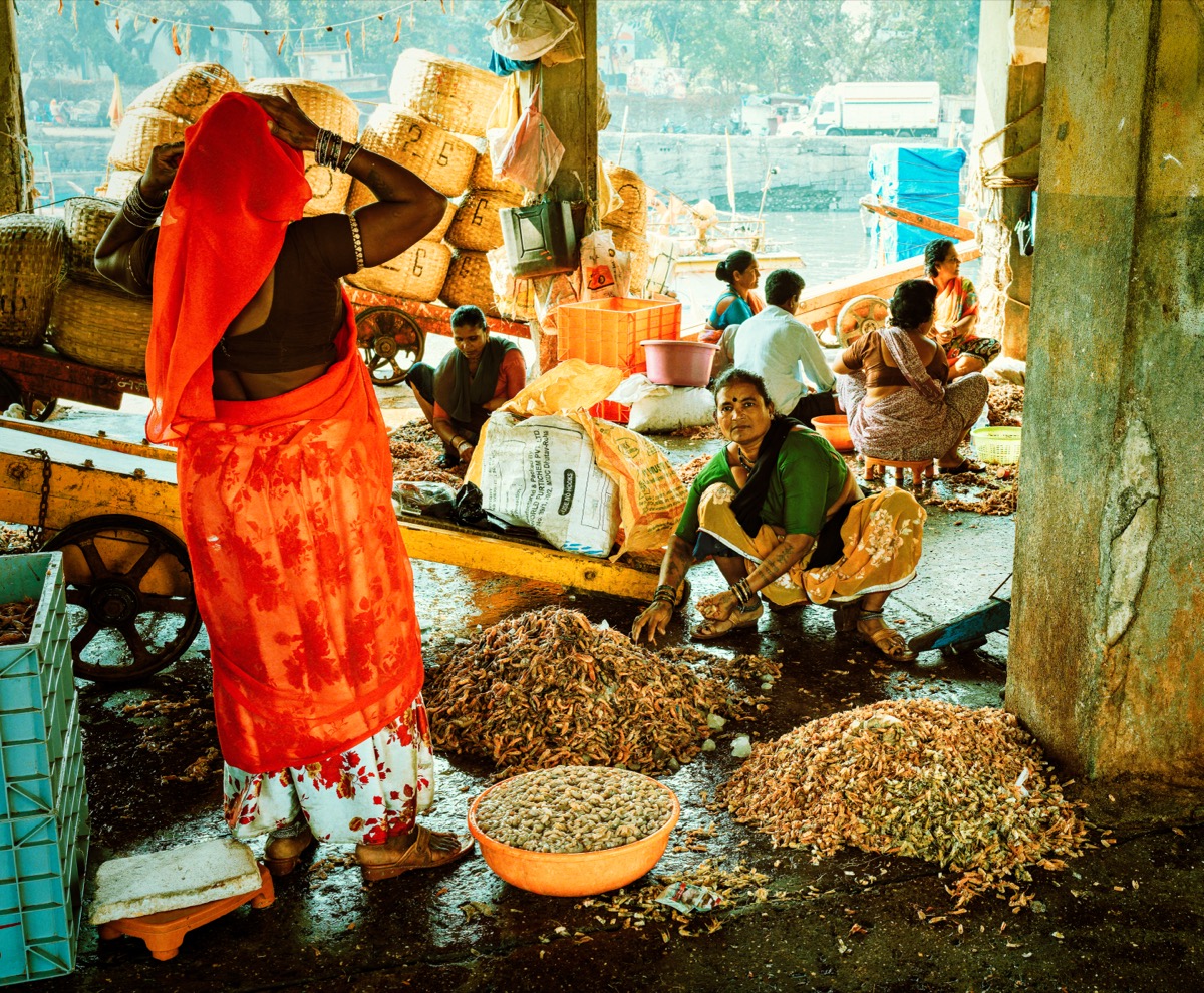 Sorting the Day's Haul